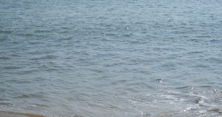 Water wave on sandy beach in the evening