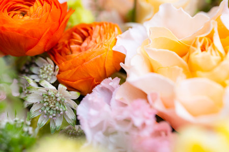 Set of flower boxes with different flowersの写真素材