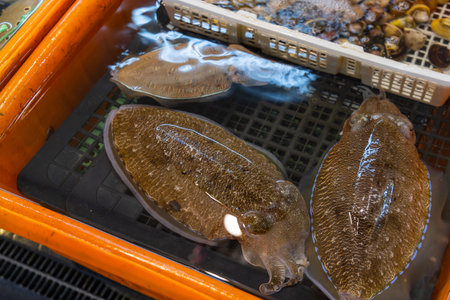 Fresh raw squid selling in wet marketの写真素材
