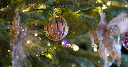 Christmas tree decoration at night