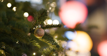 Christmas tree decoration at nightの写真素材