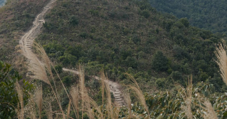 Beautiful mountain in autumn seasonの写真素材