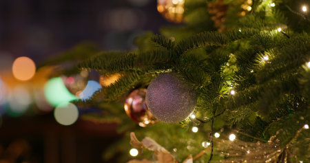 Christmas tree decoration at night