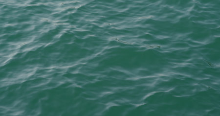 Sea surface texture water patternの写真素材