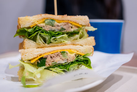 Sandwich with tuna mash in coffee shopの写真素材