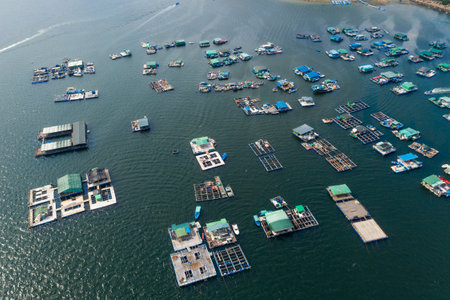 Tai Po, Hong Kong 19 May 2019: Sam Mun Tsai in Tai Poのeditorial素材