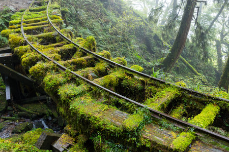 Hiking trail in Taipingshan of Yilan Jianqing Huaigu Trailの写真素材