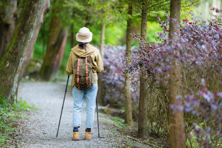 Hiking woman walk along the tree trailの写真素材