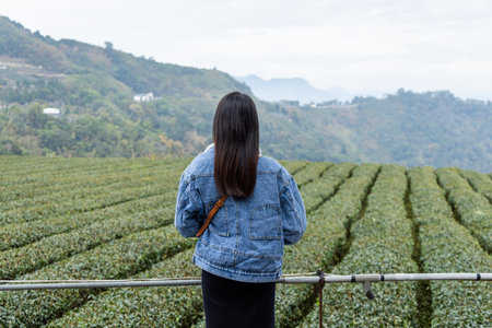 Tourist woman enjoy the view of the tea field
