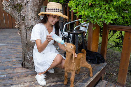 Woman feed the baby sheep in tourist farmの写真素材