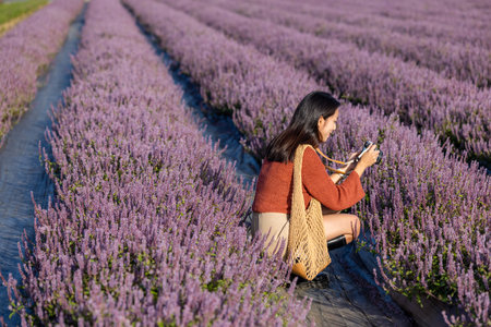 Woman take photo with digital camera on purple flower fieldの写真素材