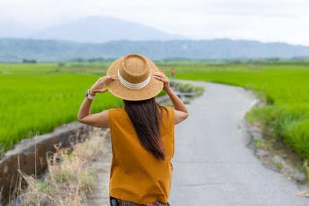 Young girl walking in rice field in Yuli of Taiwanの写真素材