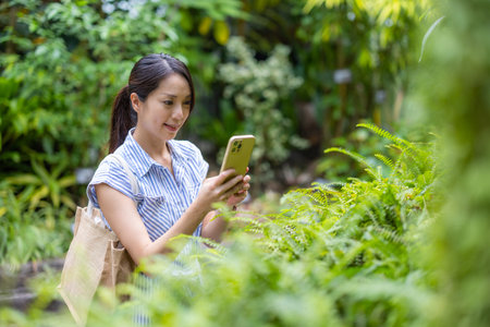 Woman use mobile phone to take photo in flower gardenの写真素材