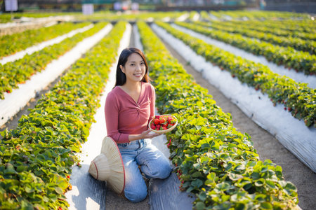 Woman visit the strawberry farmの写真素材
