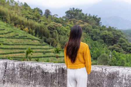 Travel woman look at the tea tree fieldの写真素材