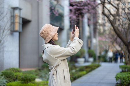 Woman use mobile phone to take photo in city with sakura treeの写真素材