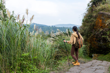 Woman go hiking with trekking pole and walk though the mountainの写真素材