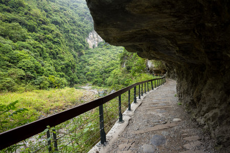 Hualien Taroko Shakadang Trail in the forestの写真素材