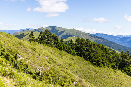 Scenery of the green mountain Hehuanshanの写真素材