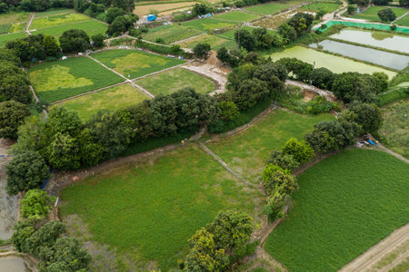 Top view of rice field in Hong Kong Sheung Shuiの写真素材