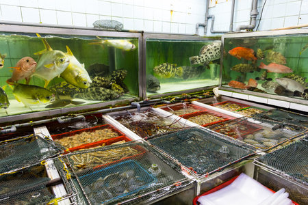 Seafood water tank outside the restaurantの写真素材