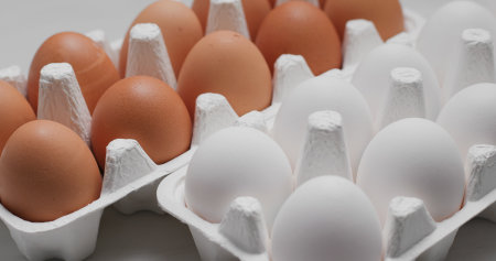 Pack of chicken eggsの写真素材