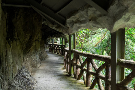Hiking trail in Xiao Wulai in Taoyuan Tourism of Taiwanの写真素材