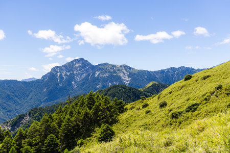 Beautiful view of mountain landscape at Hehuanshan National Forest Recreation Area in Nantou Taiwanの写真素材