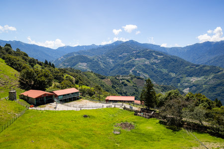 Cingjing farm in Nantou of Taiwanの写真素材