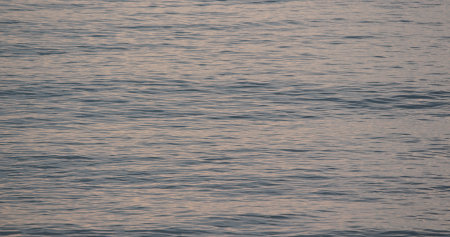 Golden sunset on the seaの写真素材