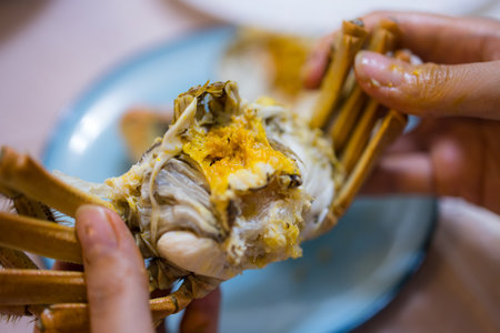 Steamed chinese hairy crab in autumn seasonの写真素材