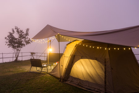 Camping in forest on the mountain in the nightの写真素材