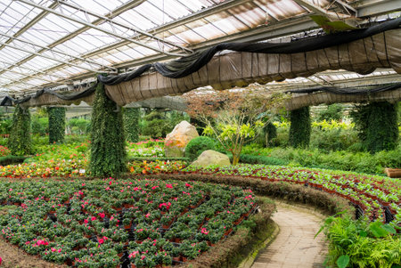 Beautiful tropical green plant in the green house gardenの写真素材