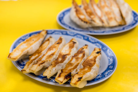 Japanese grill meat dumpling dishの写真素材