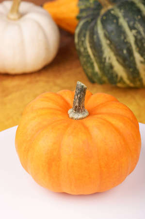 Orange pumpkin on a white plate and assorted pumpkins out of focus in the background. Selective...