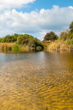 beautiful lake near Ashdod in Israelの写真素材