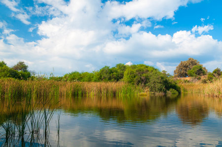 beautiful lake near Ashdod in Israelの写真素材