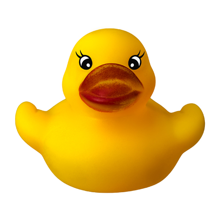 yellow rubber duckの写真素材