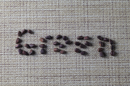 pine nuts on the table close - up with inscriptionsの写真素材