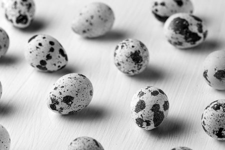 quail eggs photo large on the table and in the nestの写真素材