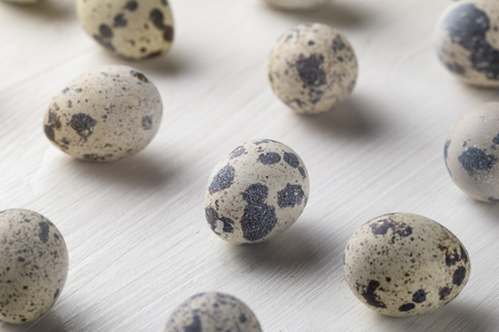 quail eggs photo large on the table and in the nestの写真素材
