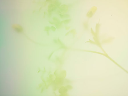 Abstract of the multi colored flower backgroundの写真素材