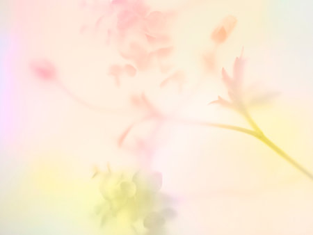 Abstract of the multi colored flower background