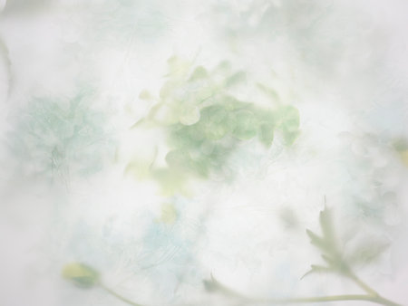 Abstract of the multi colored flower backgroundの写真素材