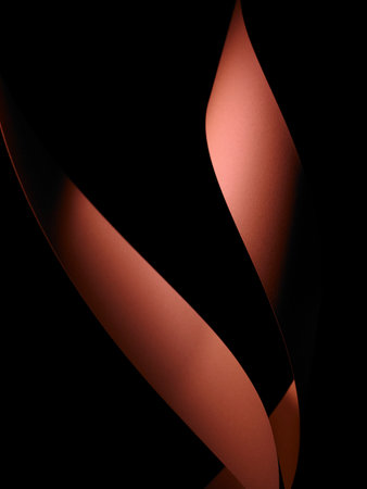 elegant shape of a paperの写真素材