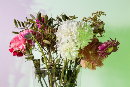 Flowers just starting to wilt in a transparent vase in front of a white wall colored green and purple using speedlights and gels.の写真素材