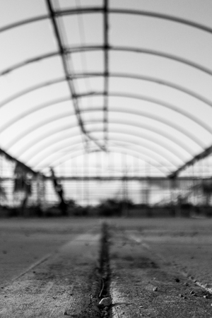 Old blurred abandoned greenhouse with focus on a small stone in the foreground. Black and white portrait orientationの写真素材