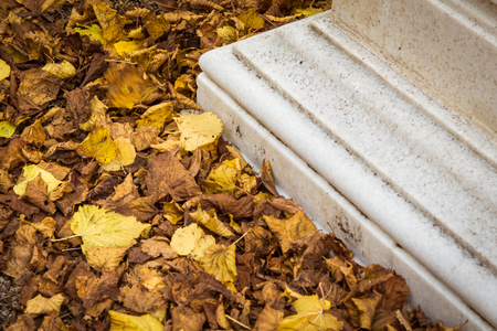 Stone plinth surrounded by yellow autumn leaves.の写真素材