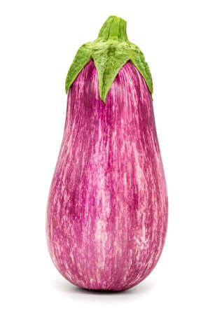 One raw striped eggplant or aubergine, isolated on white background.の写真素材