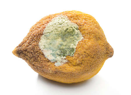 Rotten lemon close-up with reflection isolated on white backgroundの写真素材